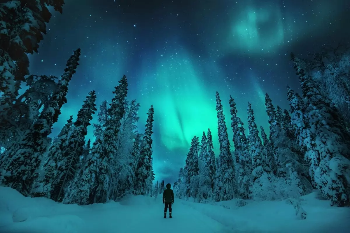 ویزای فنلاند